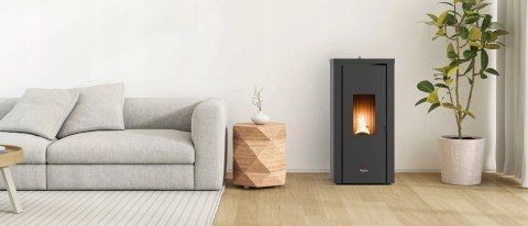 Piec Kocioł Cadel Vera stalowy na pellet 7,7 kW Piec Kocioł Cadel Vera stalowy na pellet 7,7 kW